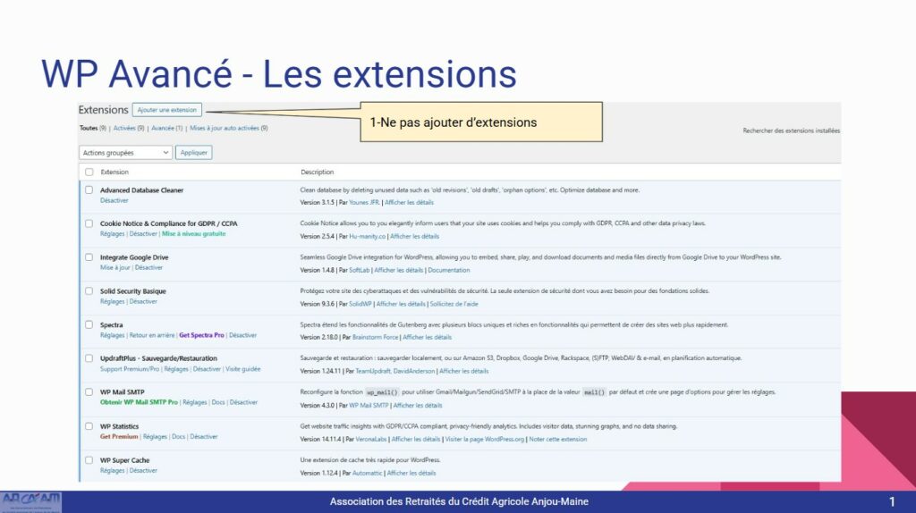 Les extensions WordPress
