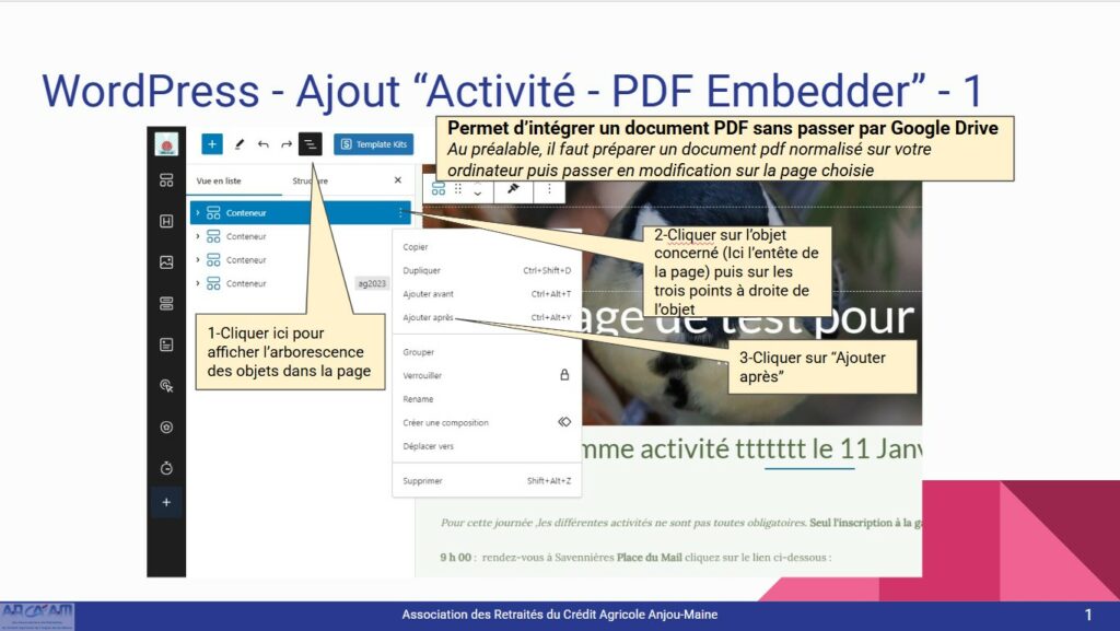 Document PDF Embedder